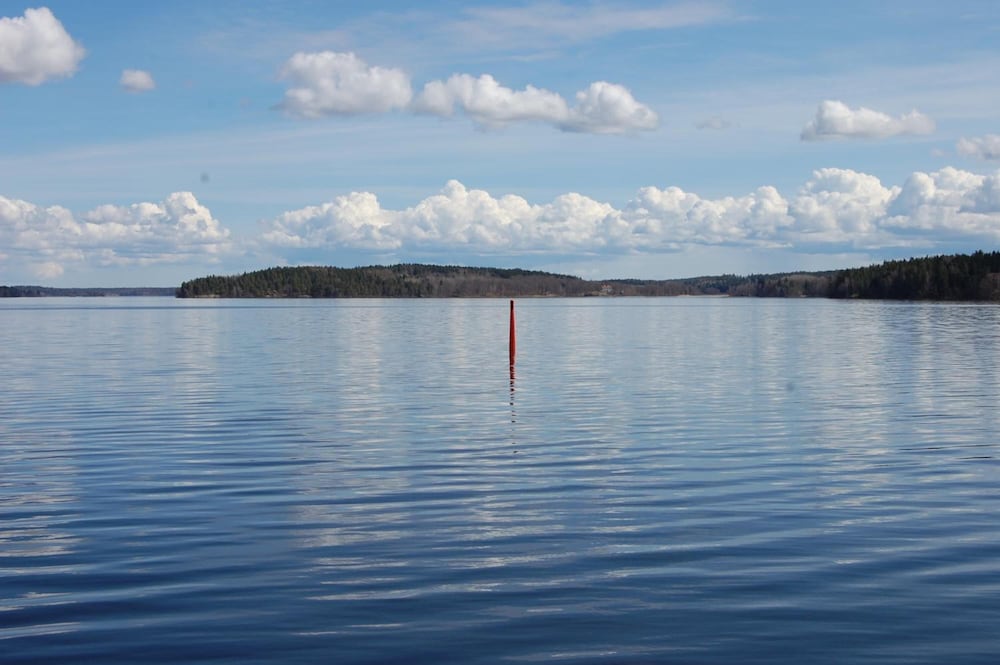 Röda Magasinet 42/50