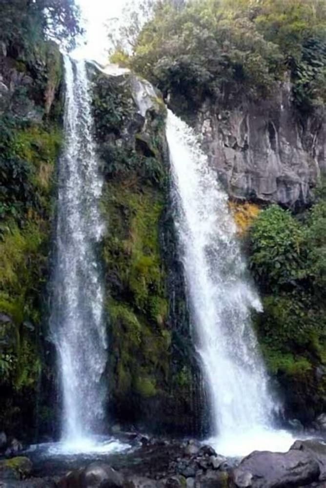 Ariki Backpackers 63/71