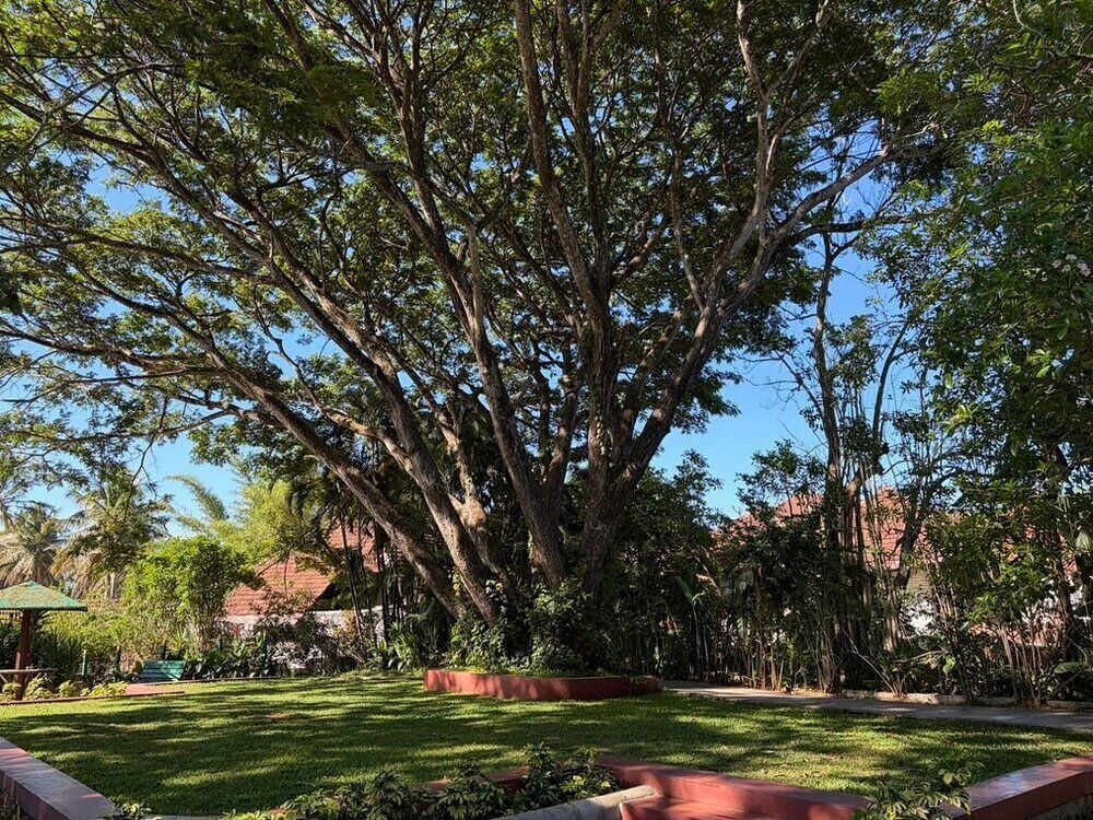 HOYSALA VILLAGE RESORT 46/50