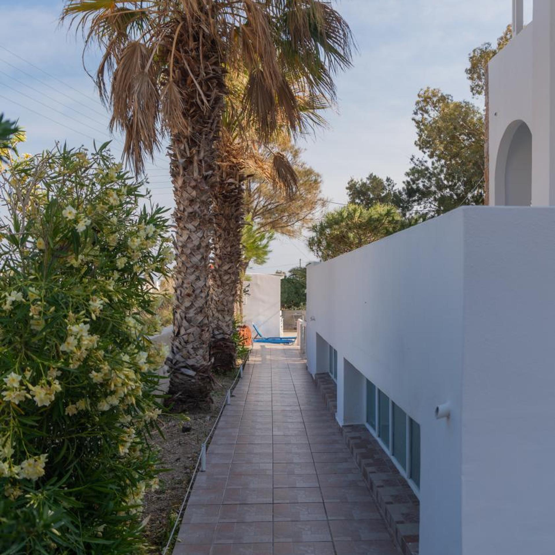 Noeme Santorini 53/57