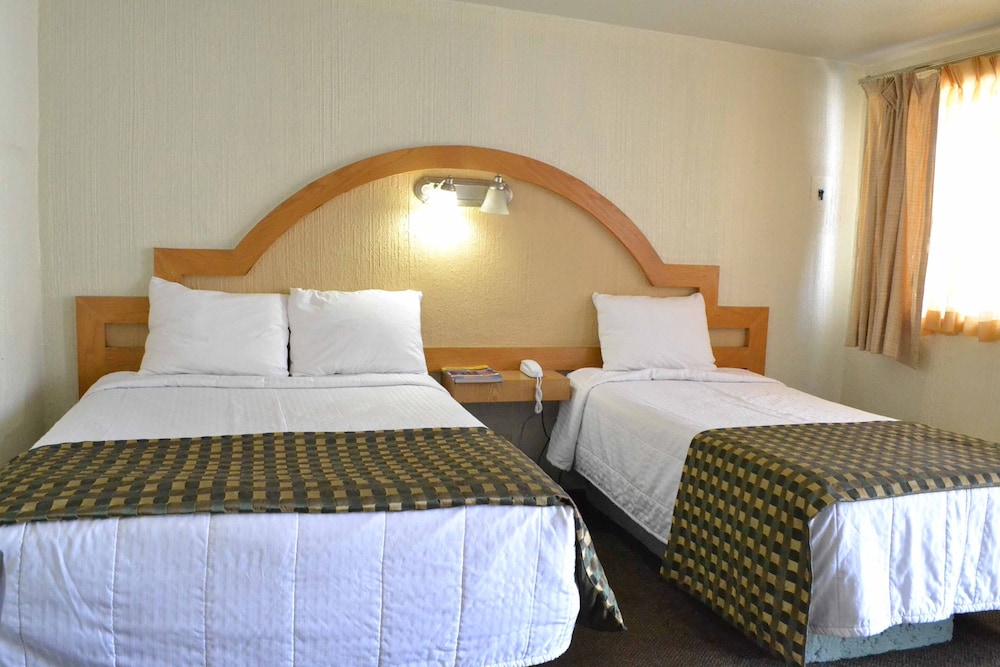 Standard, 1 Double and 1 Single Bed