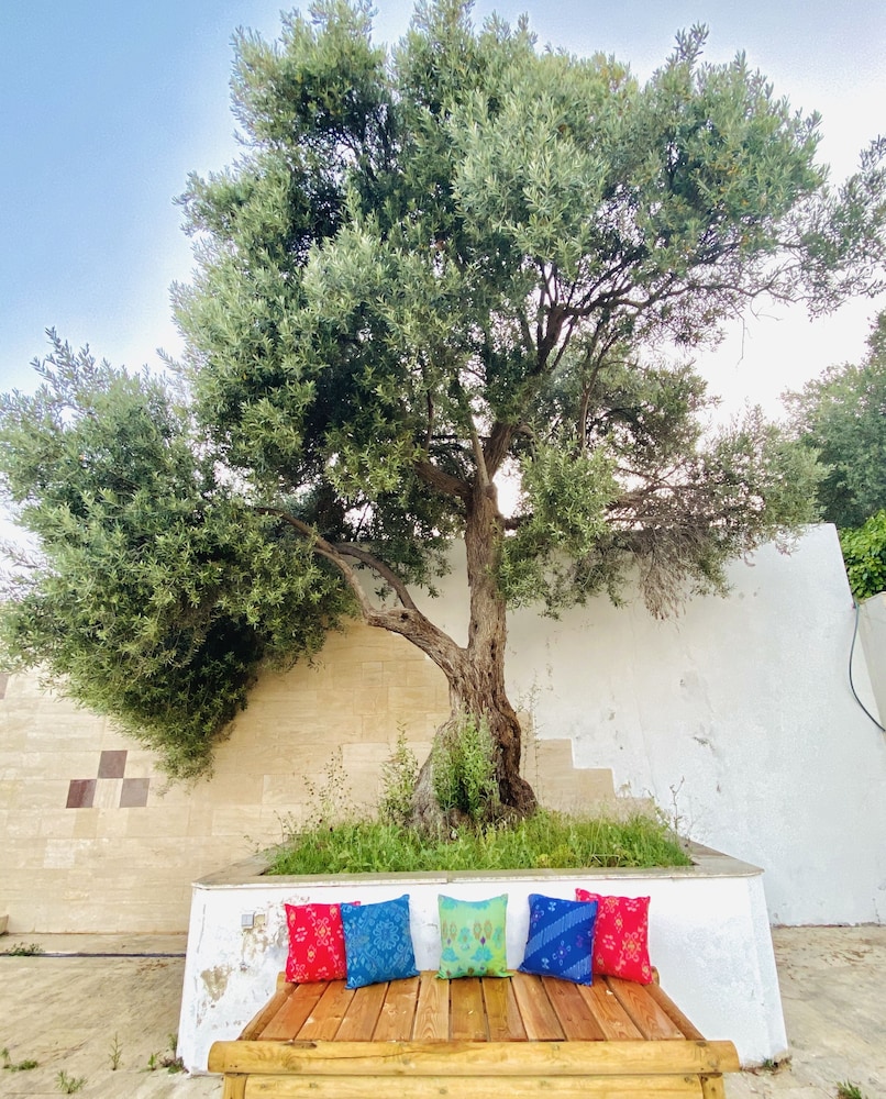 Alacati Barbarossa Hotel 29/39