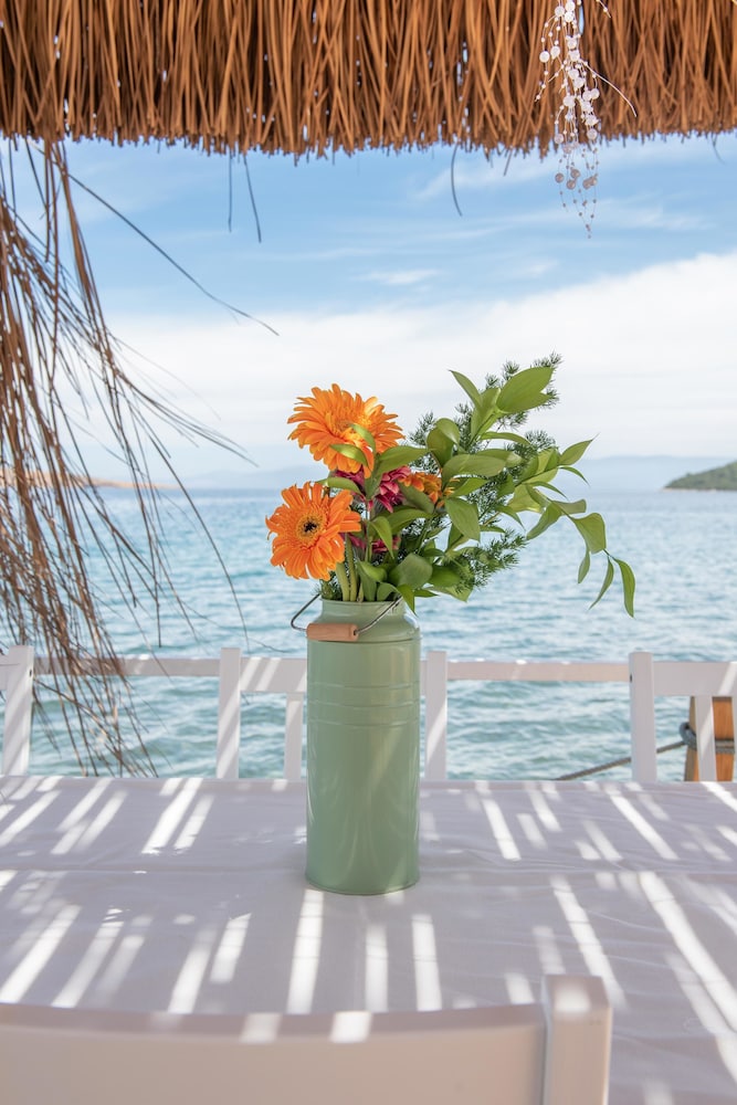 Palmiye Beach & Rest 7/64