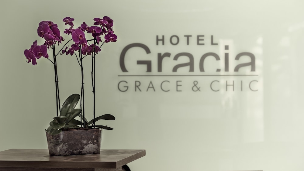 Gracia 33/56