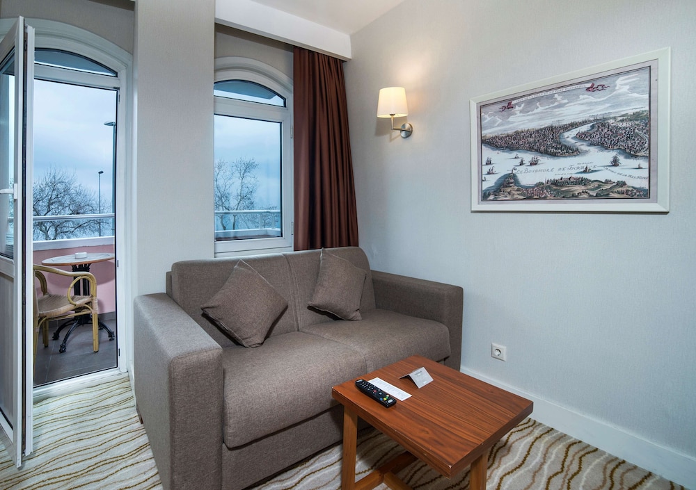 Radisson Hotel Istanbul Sultanahmet 32/50
