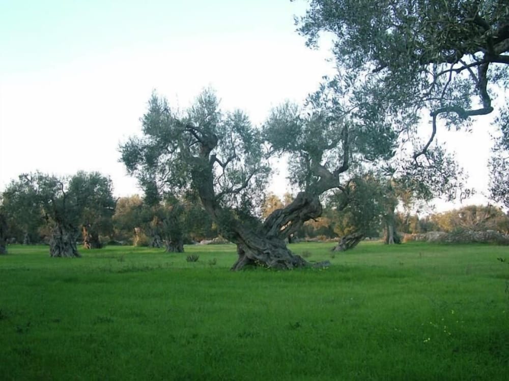 Albergo Del Santuario 29/34