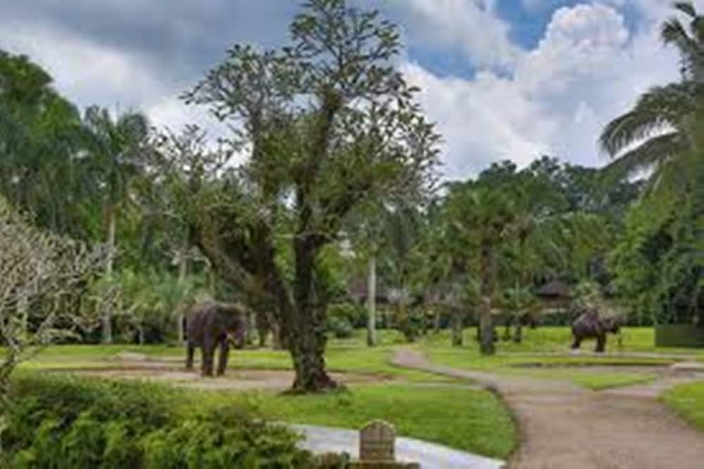 Mason Elephant Park & Lodge 23/27