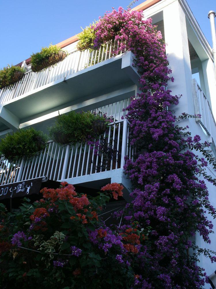 Cruz Bay Boutique Hotel 2/11