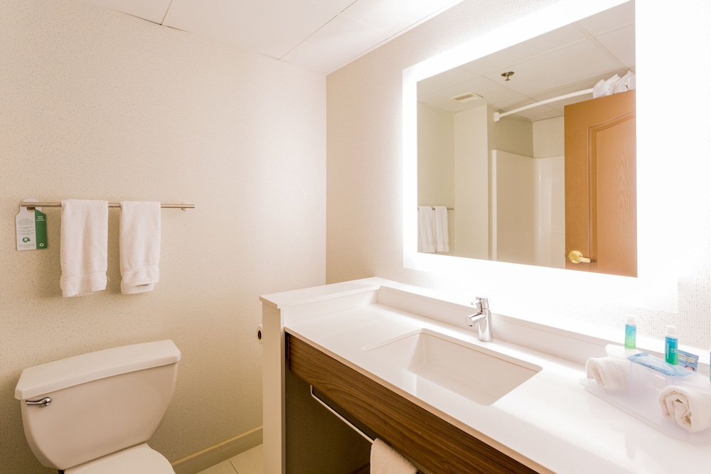 Holiday Inn Express Hotel And Suites Reading 16/48
