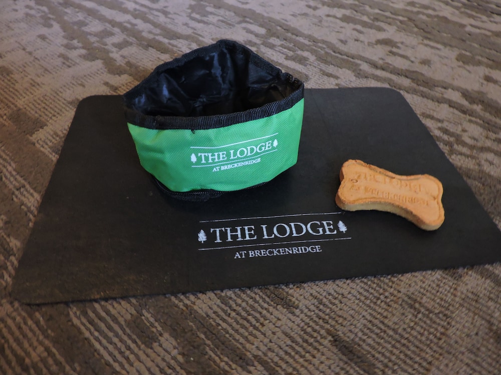 The Lodge at Breckenridge 20/50