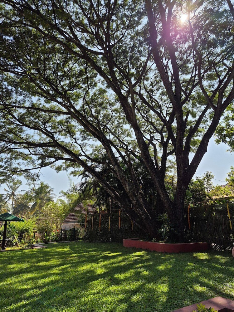 HOYSALA VILLAGE RESORT 43/50