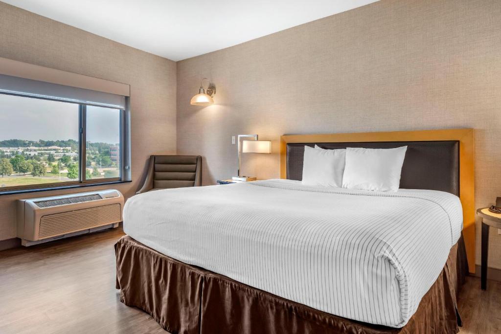 UPGRADE, SUITE, KING BED