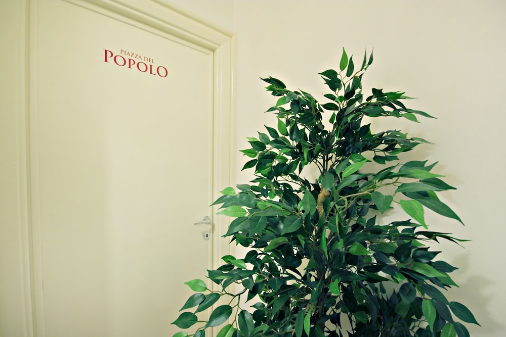 Le Piazze Di Roma Bed And Breakfast 47/47