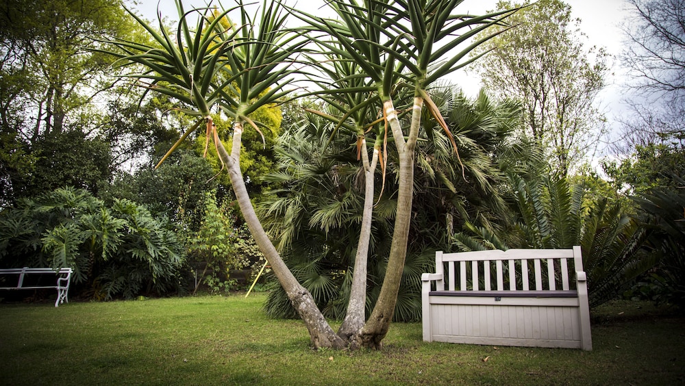 Sunbird Guest House 32/50