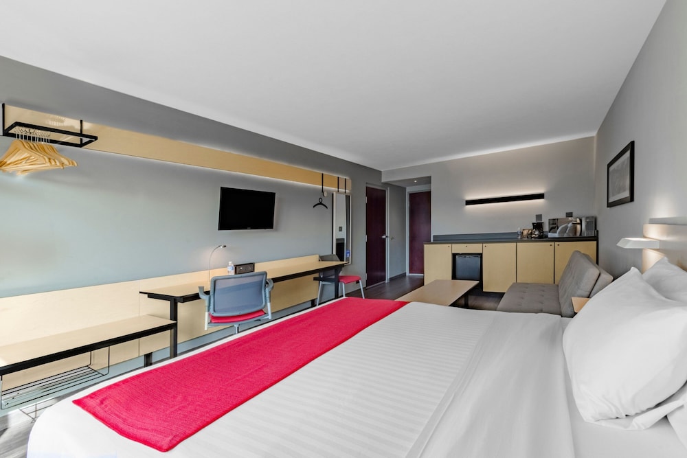 Suite, King Bed, Sofa