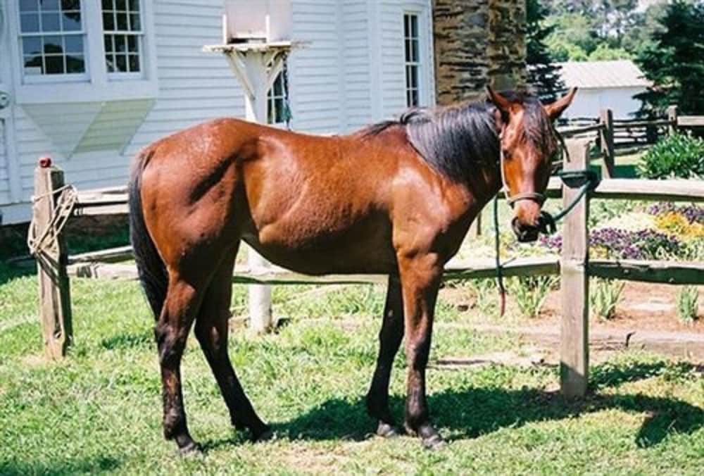 Seventy-four Ranch 21/50
