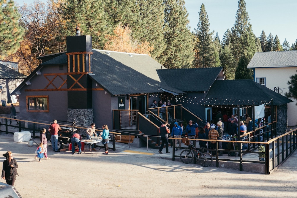 LOGE Mt. Shasta 35/43