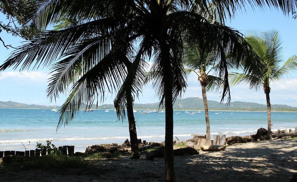 The Coast Beachfront Hotel 42/50