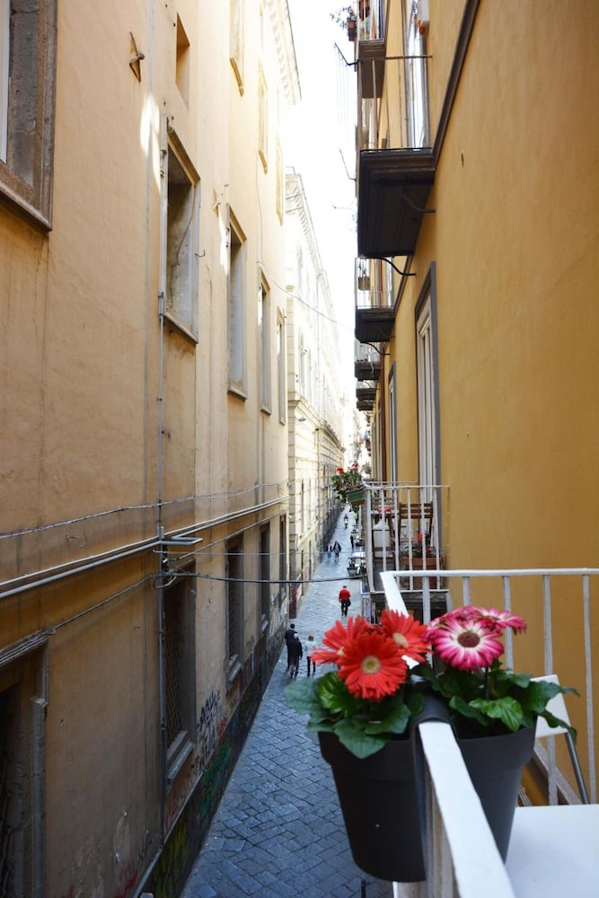 Domus Studio 25 Bed and Breakfast 36/50