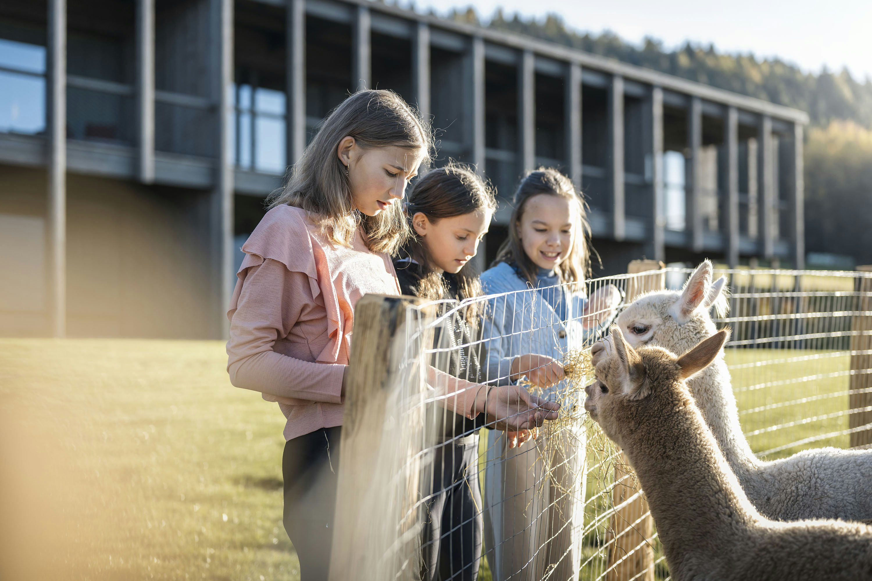 AKI Family Resort PLOSE 30/38
