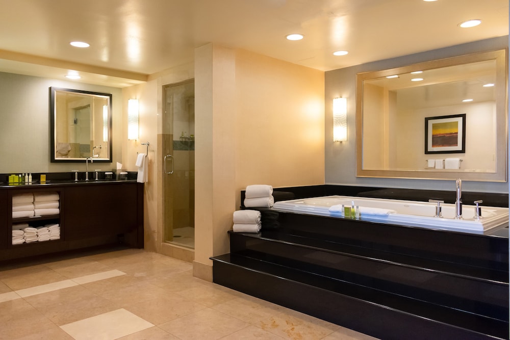Doubletree Hotel San Jose 8/43