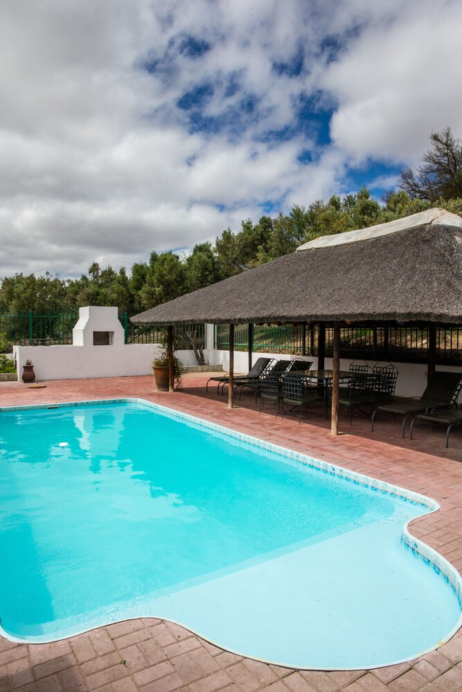 Olive Grove Guest Farm 16/50