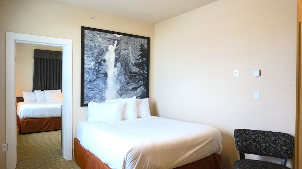 High Point Inn & Suites Peace River 13/31
