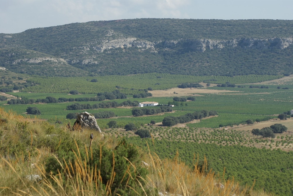 Finca El Romeral 23/36
