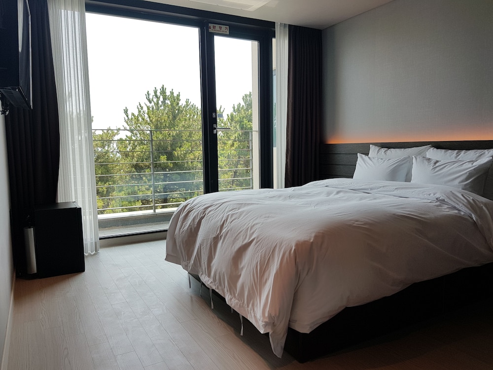 Suntree Hotel 12/50