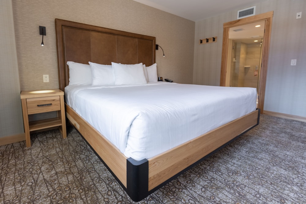 1 BEDROOM, SUPERIOR, SUITE, KING BED
