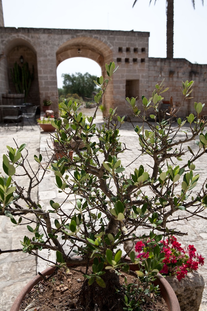 Masseria Bosco 59/61