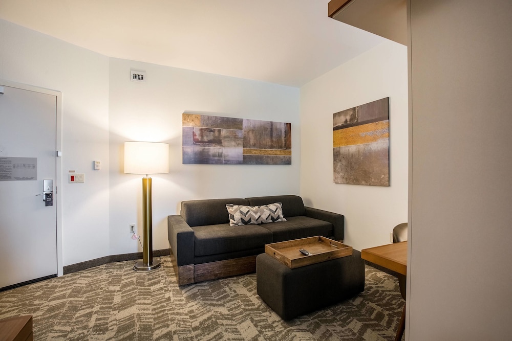 Springhill Suites Houston Rosenberg 32/47