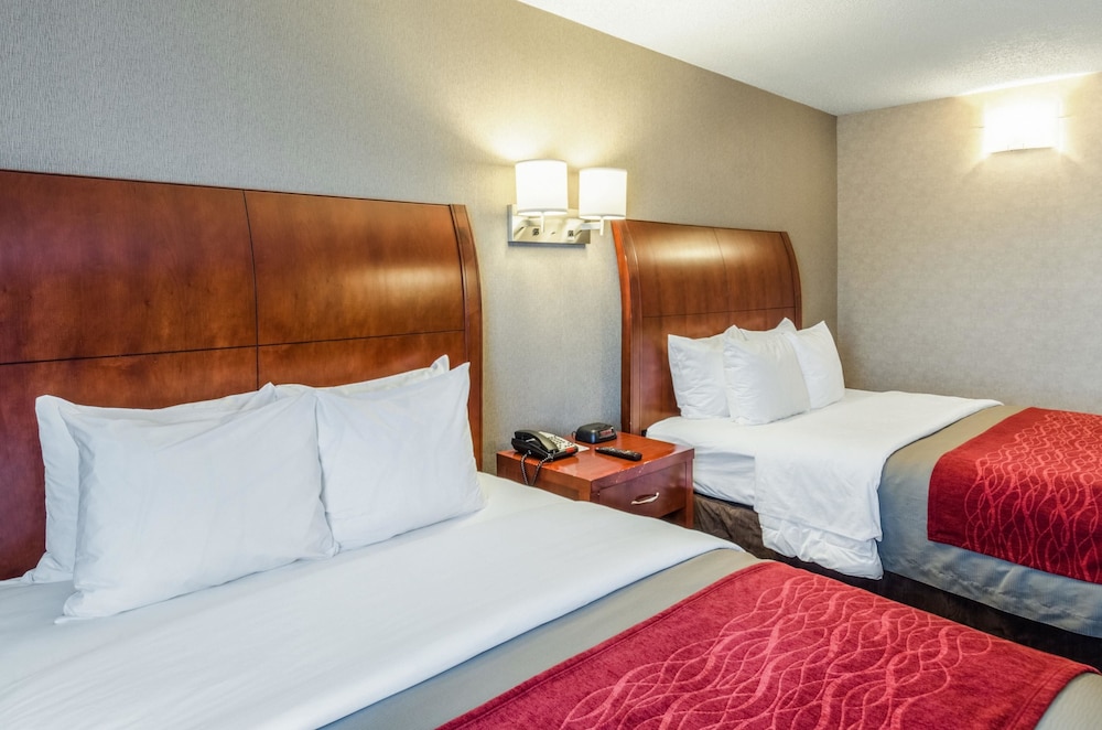 Comfort Inn & Suites West Springfield, MA 15/35