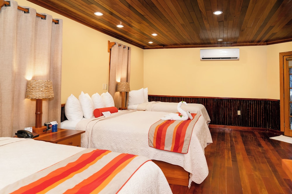 Jungle, Family, Queen and Twin Beds