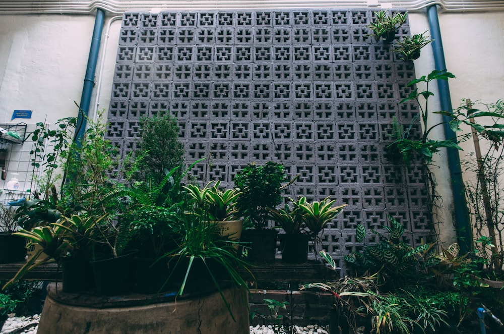 Aekkeko Hostel 5/50