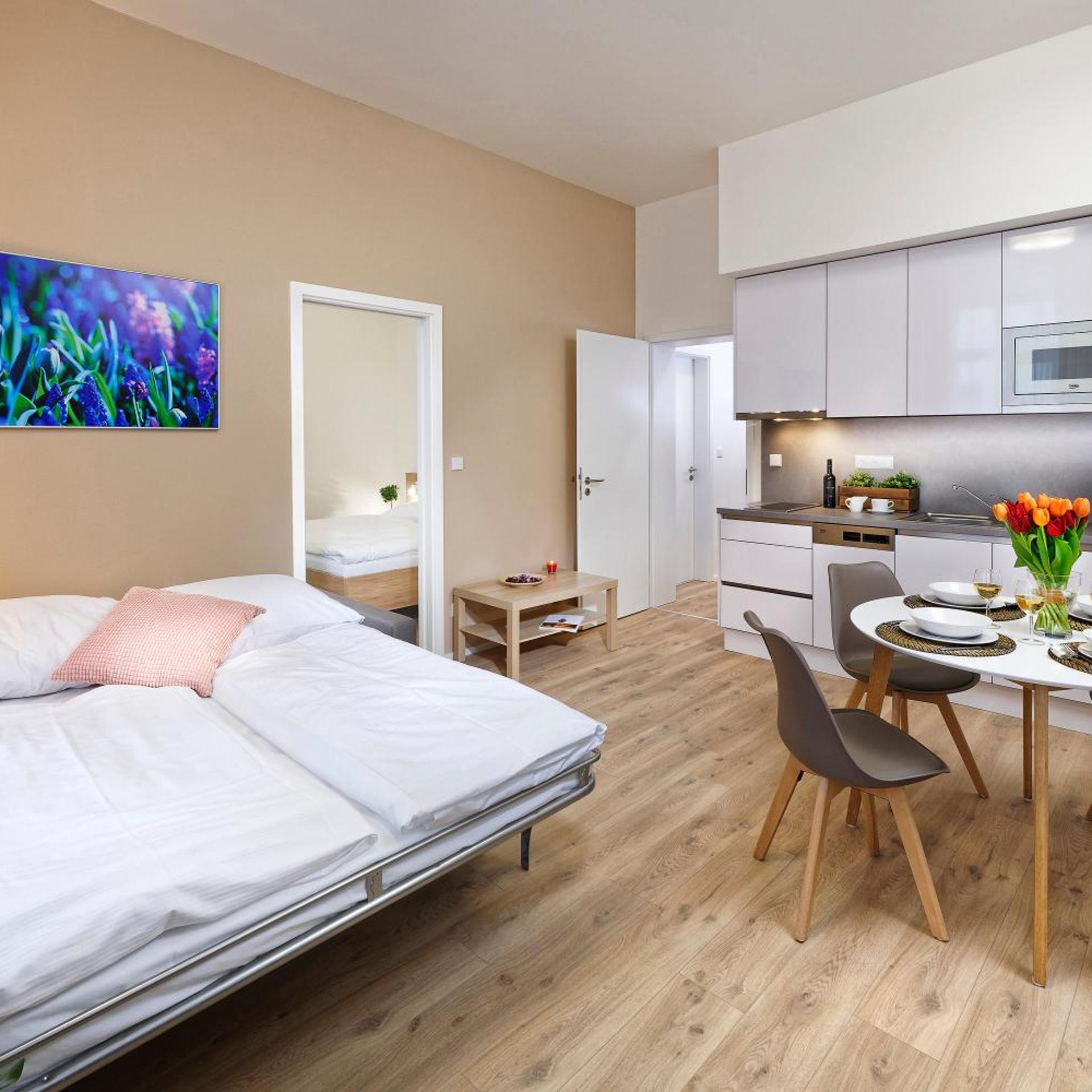 DownTown Suites Jugoslavska 16/38