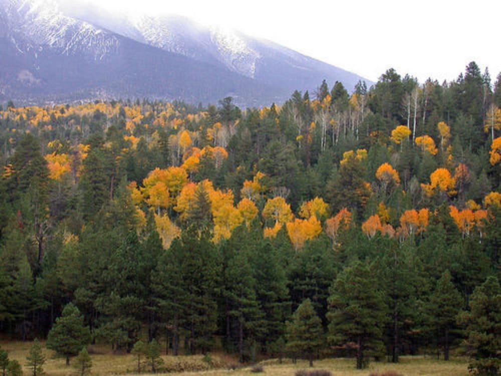 Elden Trails Bed And Breakfast 17/21