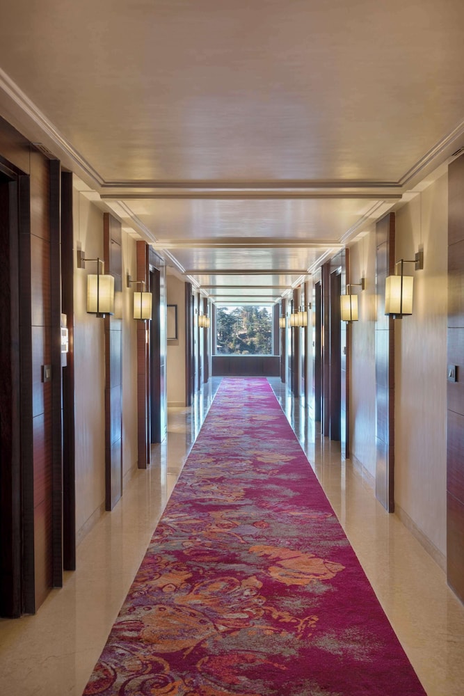 Radisson Hotel Kufri 45/50