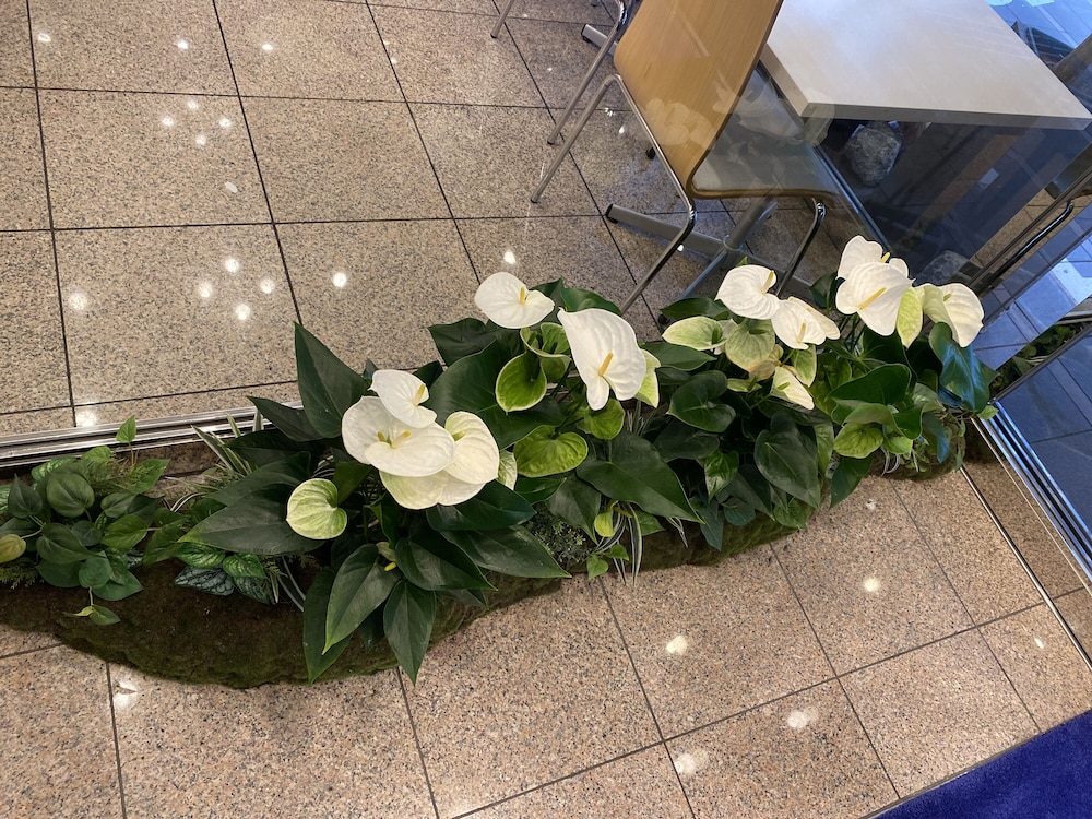 Toyoko Inn Kyoto Gojo Karasuma 64/64