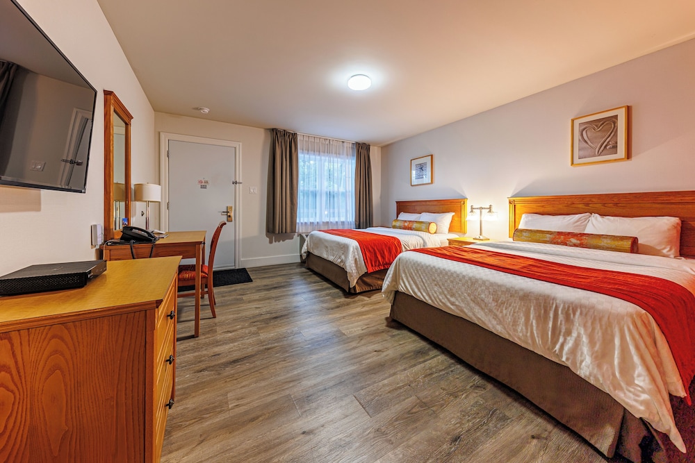 Hotel Motel Castel de la Mer 6/35