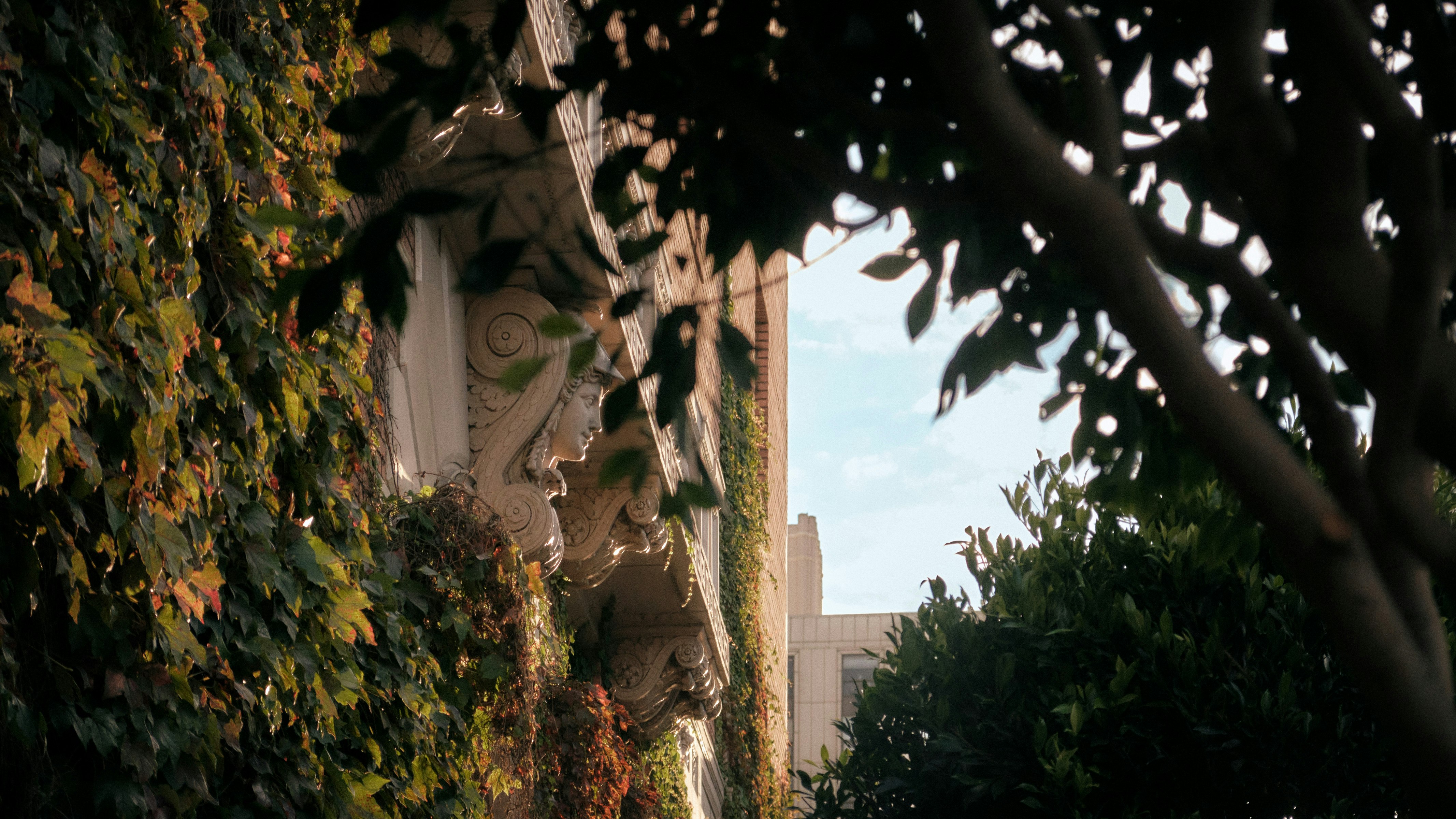 The Scarlet Huntington Hotel 78/84
