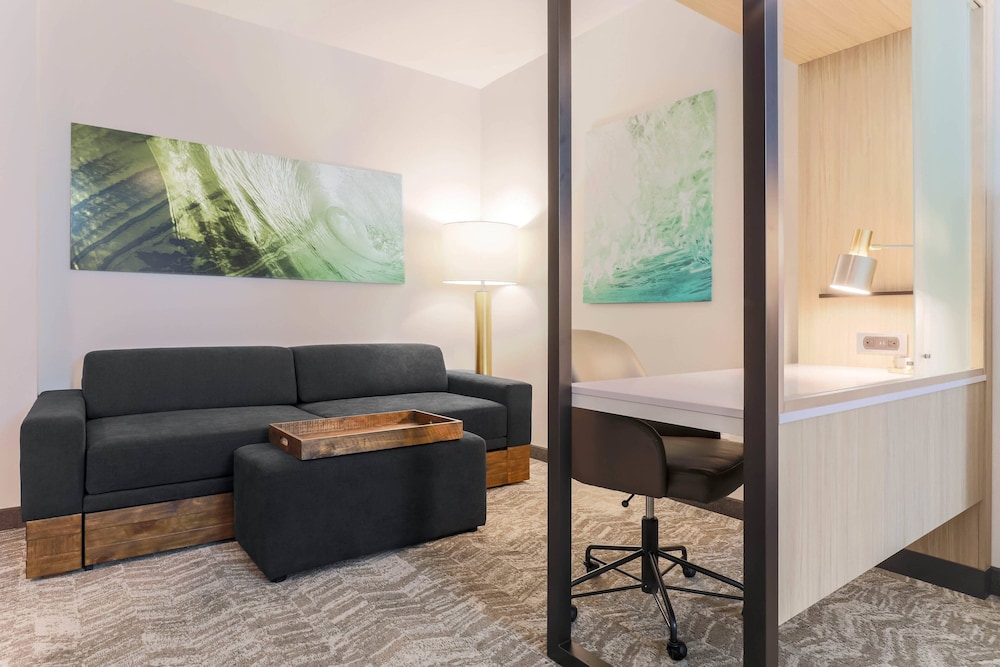 SpringHill Suites by Marriott Tallahassee North 29/48