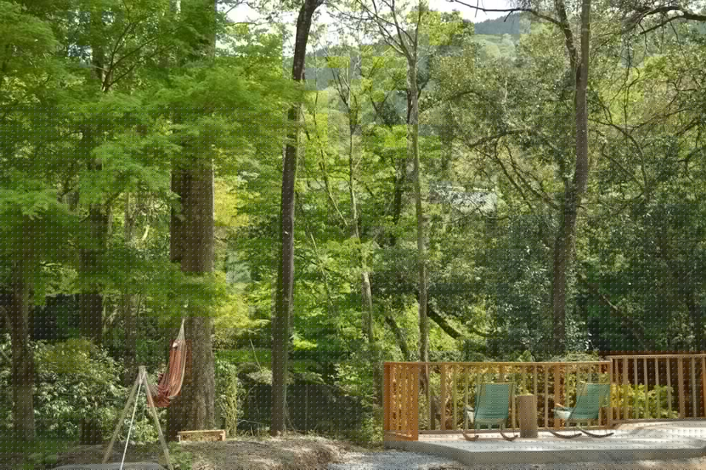 Yugashima Tatsuta 5/64