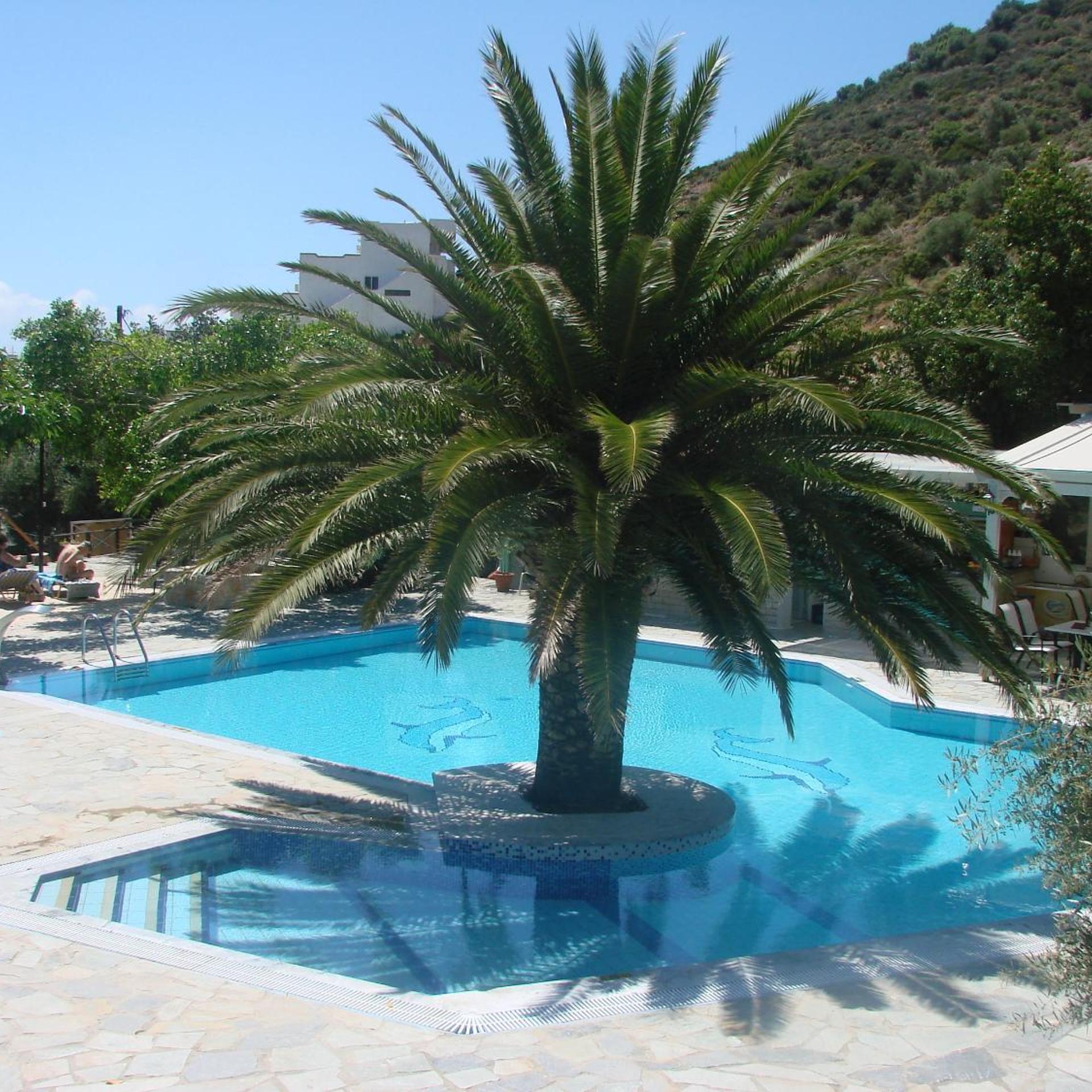 Neos Ikaros Hotel 27/38