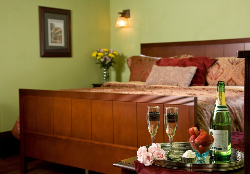 Hilltop Manor Bed and Breakfast 3/49