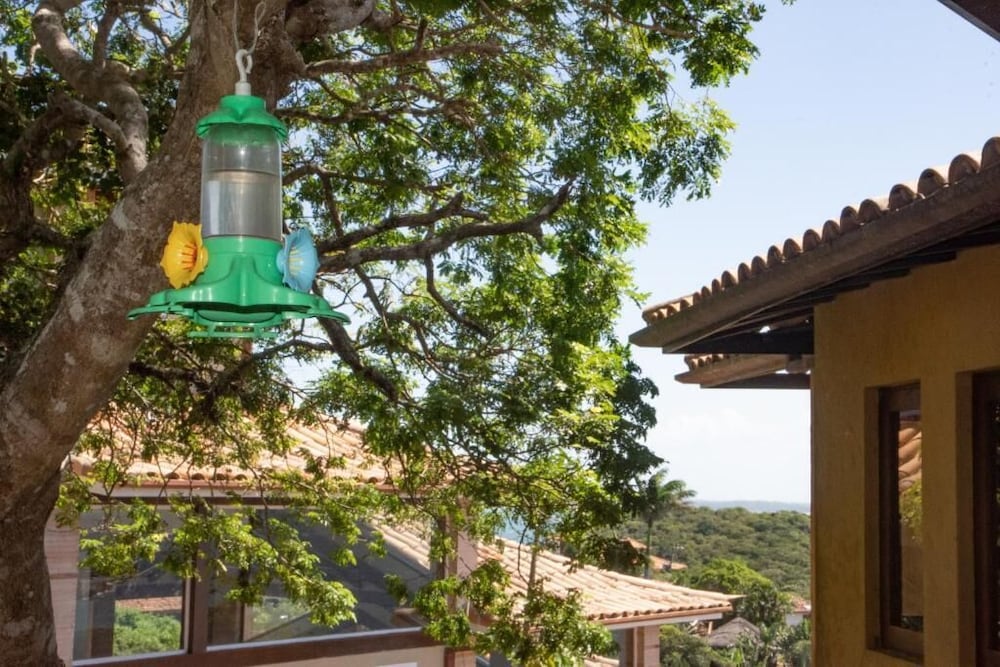 Pousada La Belle Maison Brigitte Bardot 4/50