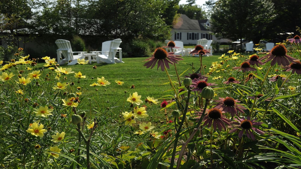 The Lyme Inn 44/50