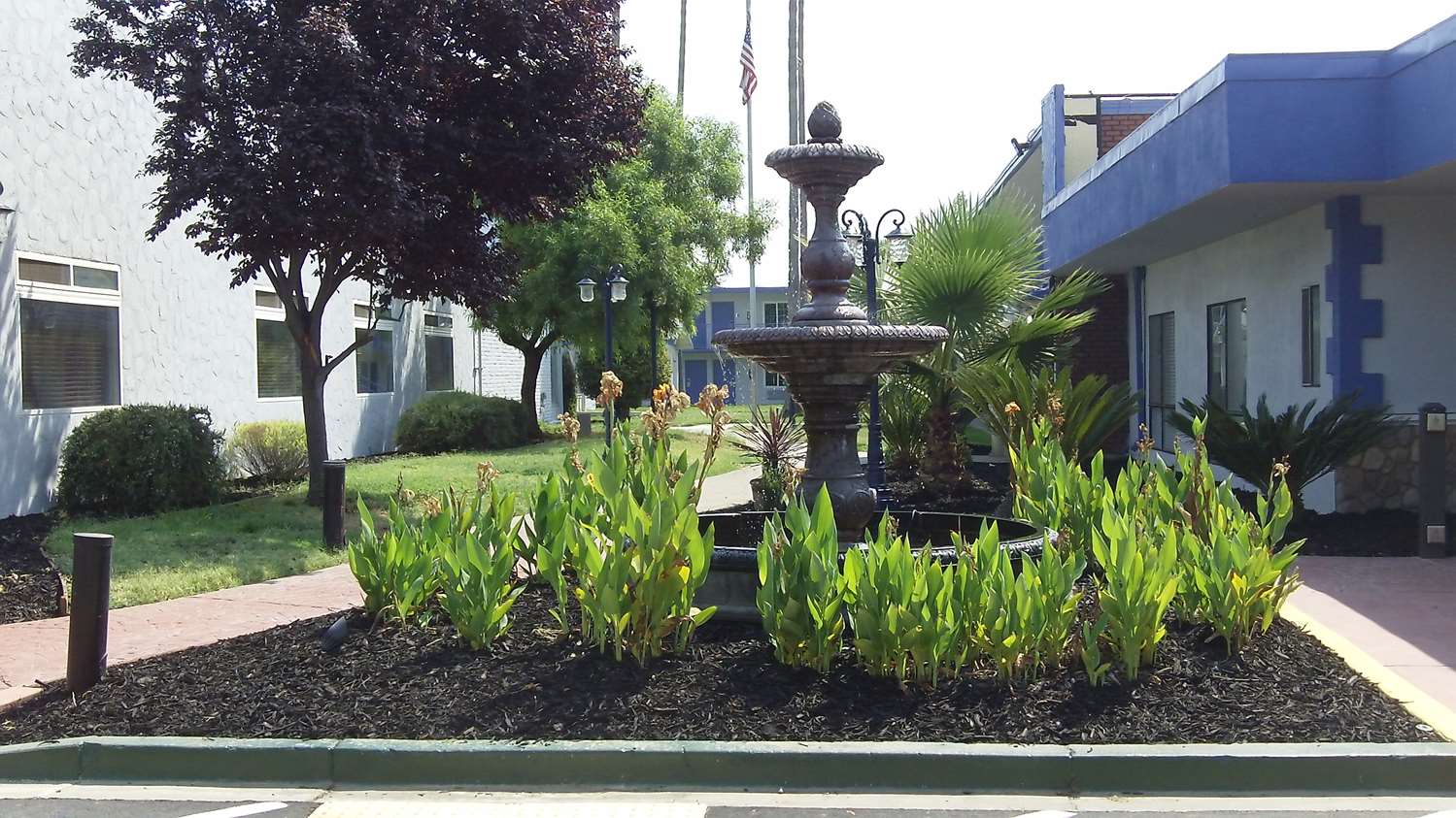 Surestay Plus Hotel By Best Western Sacramento Cal Expo 38/39
