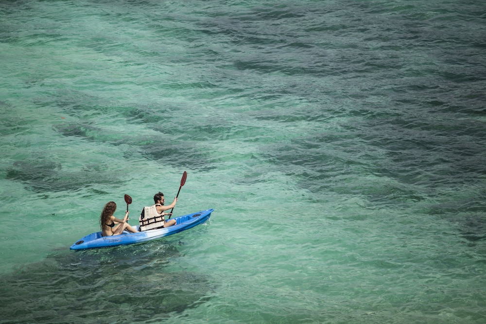 The Cliff Lipe 54/76