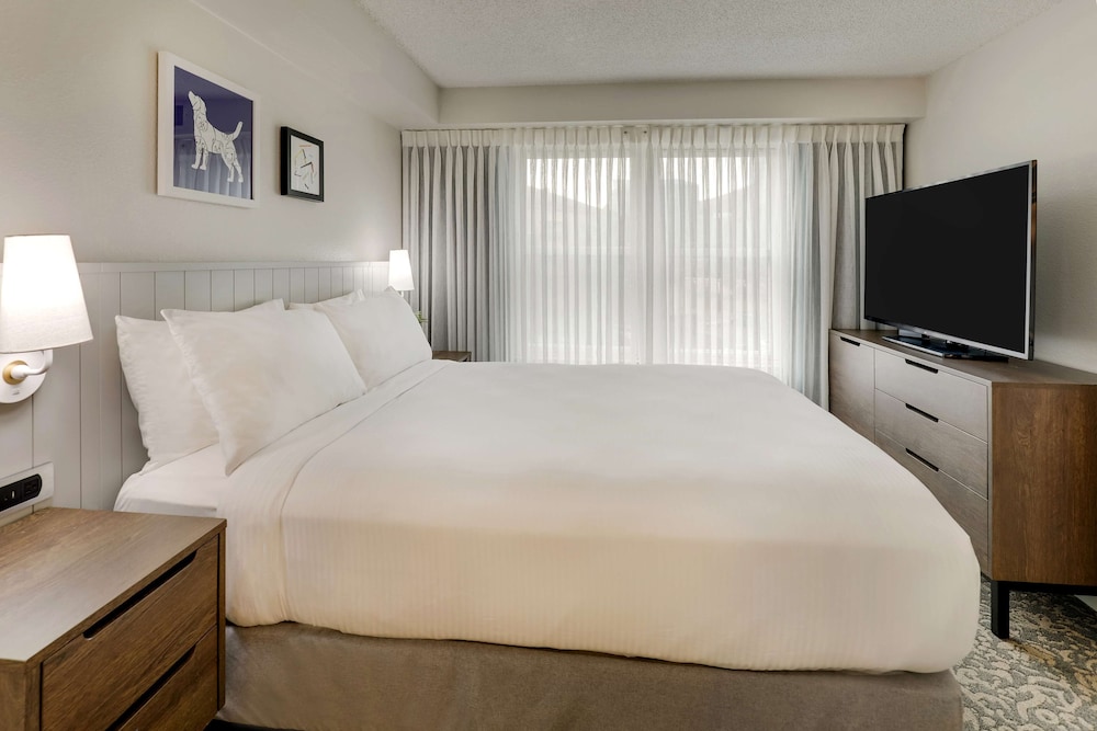 جناح بسرير كوين مع أريكة لذوي الإعاقة، Sonesta ES Suites San Diego - Sorrento Mesa 3/5